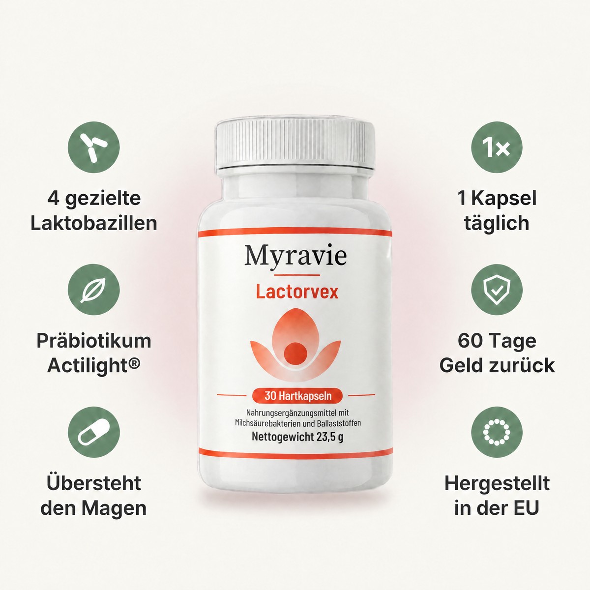 Myravie Lactorvex: 4 gezielte Laktobazillen, Präbiotikum Actilight®, übersteht den Magen, 1 Kapsel täglich, 60 Tage Geld zurück, hergestellt in der EU